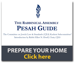 Pesach Guide small image